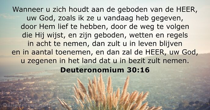 deuteronomium 30:16