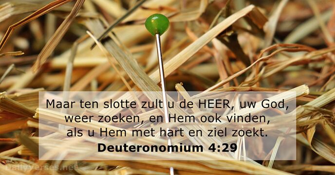 deuteronomium 4:29