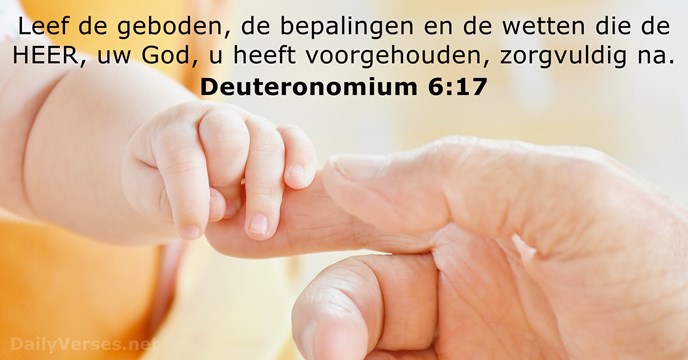 Deuteronomium 6:17