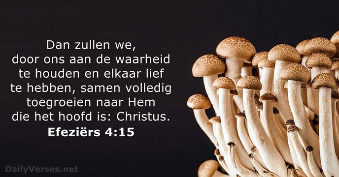 efeziers 4:15