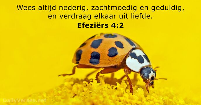 Efeziërs 4:2