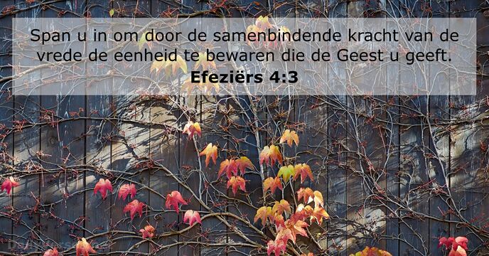 efeziers 4:3