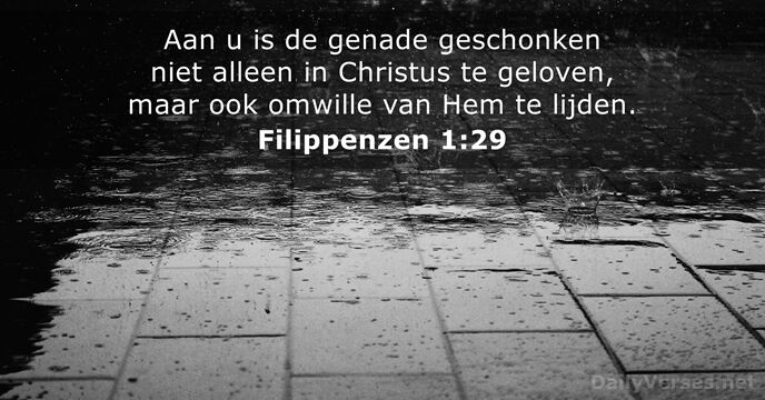 filippenzen 1:29