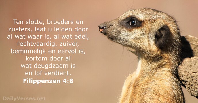 filippenzen 4:8