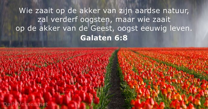 galaten 6:8