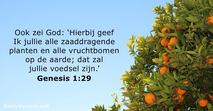 genesis 1:29