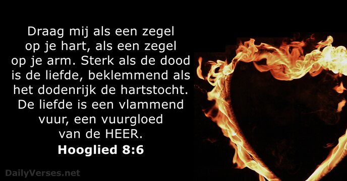 hooglied 8:6