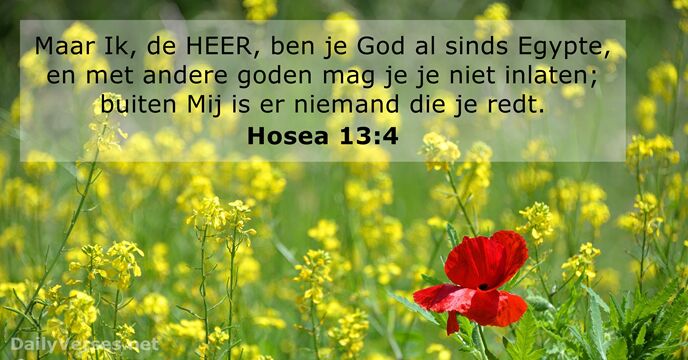 hosea 13:4