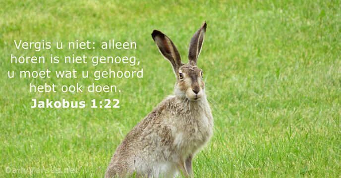 Jakobus 1:22