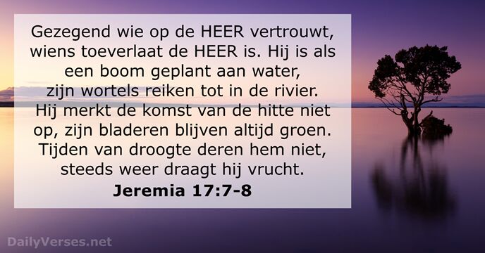 jeremia 17:7-8