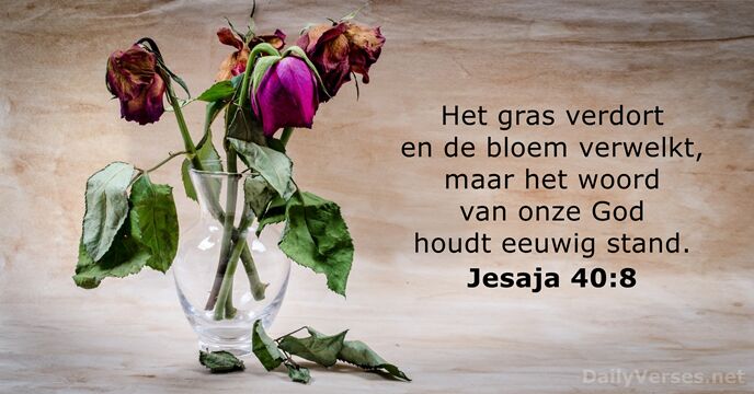 jesaja 40:8