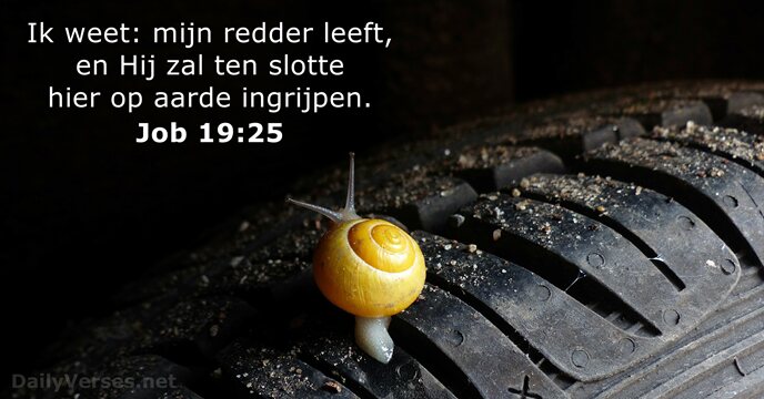 job 19:25