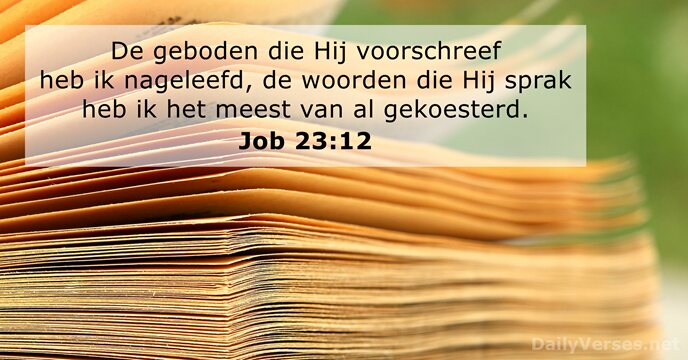 job 23:12