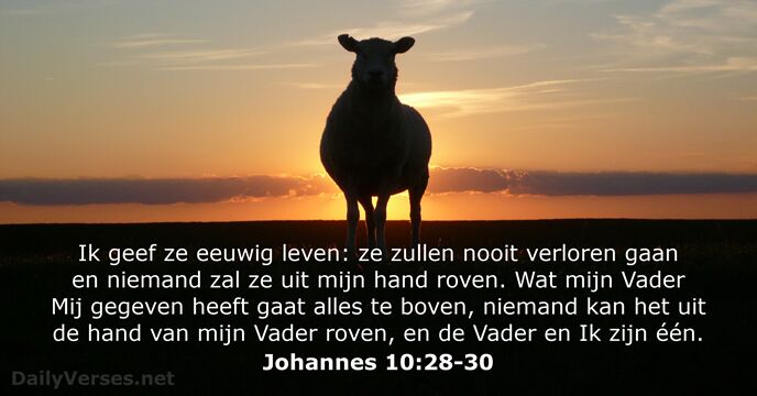 johannes 10:28-30