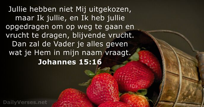 Johannes 15:16