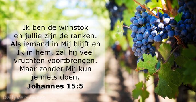 johannes 15:5
