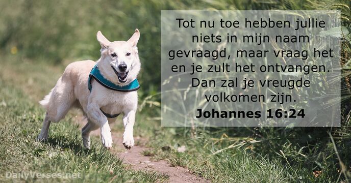 johannes 16:24