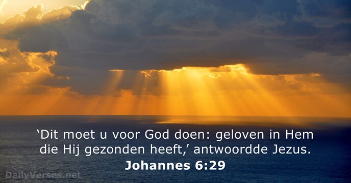johannes 6:29