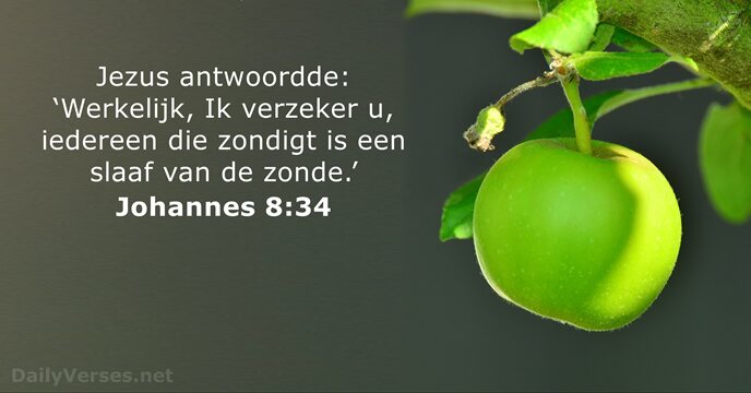 johannes 8:34