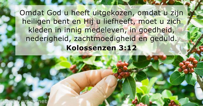 kolossenzen 3:12