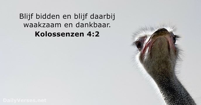 kolossenzen 4:2