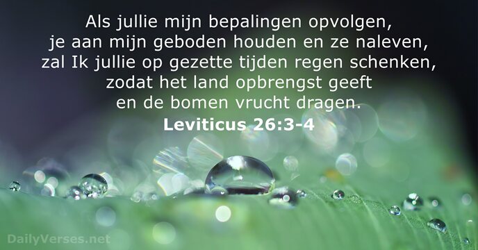 Leviticus 26:3-4
