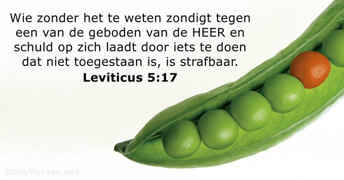 leviticus 5:17