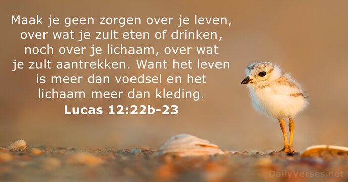 Lucas 12:22b-23