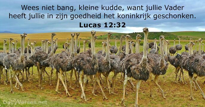 lucas 12:32