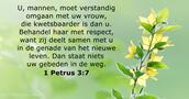 1 Petrus 3:7