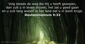 Deuteronomium 5:33