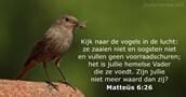 Matteüs 6:26