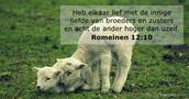 Romeinen 12:10