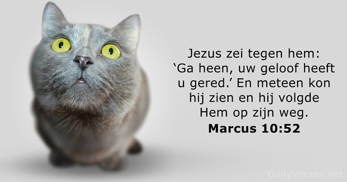 marcus 10:52
