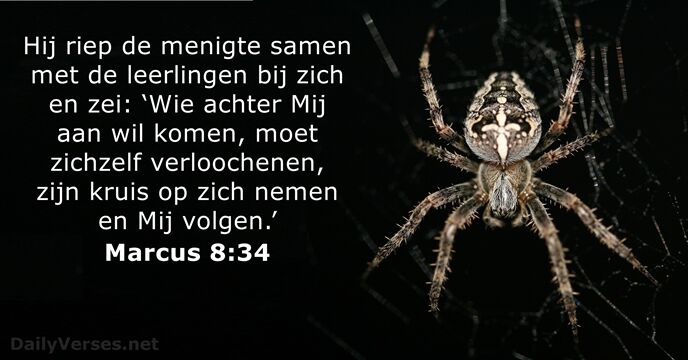 marcus 8:34