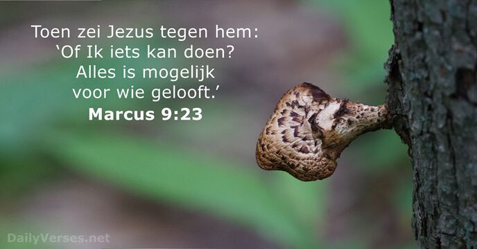 marcus 9:23