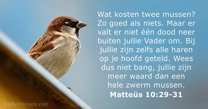 Matteüs 10:29-31