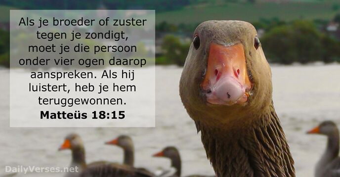 Matteüs 18:15