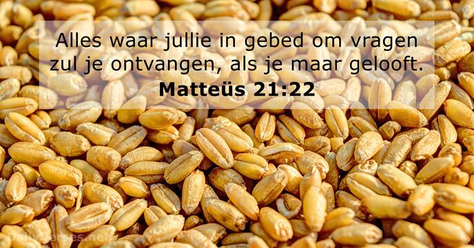 matteus 21:22