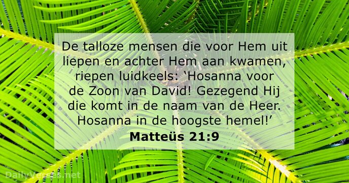 matteus 21:9