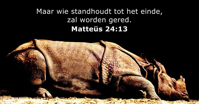 Matteüs 24:13