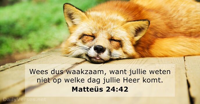 matteus 24:42