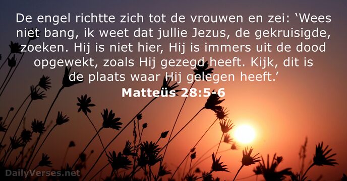 matteus 28:5-6