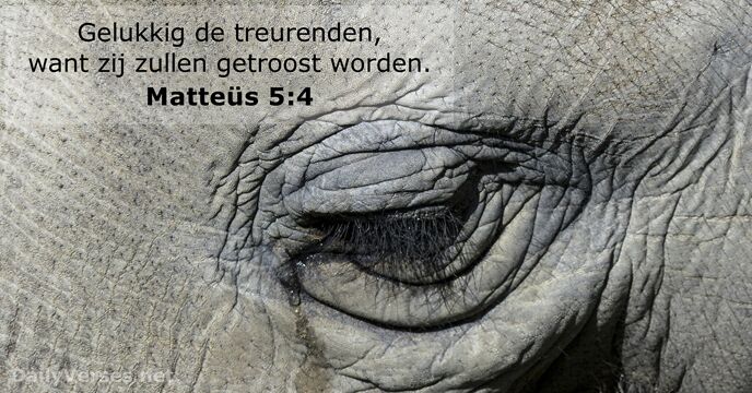 Matteüs 5:4