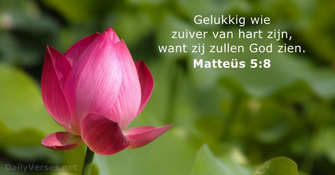 matteus 5:8