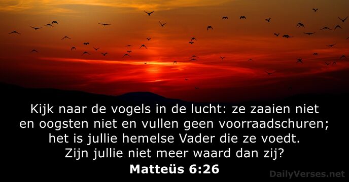 matteus 6:26
