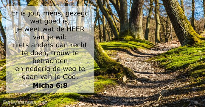 micha 6:8