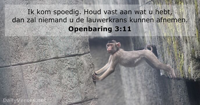 Openbaring 3:11