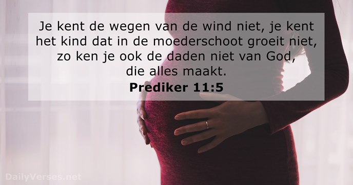 Prediker 11:5