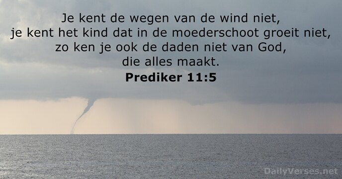 prediker 11:5